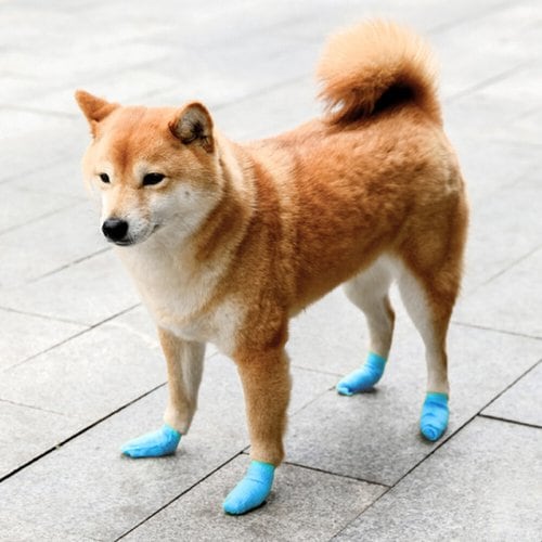 상품이미지3
