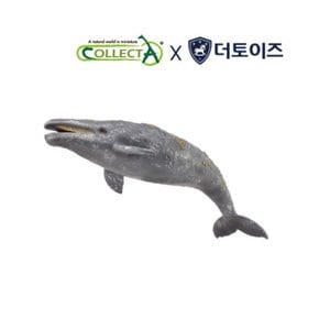 [컬렉타, COLLECTA] 컬렉타 귀신고래, 해양동물 피규어