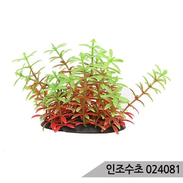 확대된 대표 대표이미지
