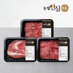 [농협안심한우] 1등급 한우 꽃등심+살치살+갈비살 600g