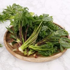 다농이네 산지직송 일월산 유기농 개두릅(엄나무순) 500g