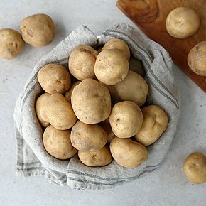 24년수확 포슬포슬 괴산 햇 감자 두백감자 대왕 5kg