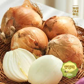 해남 황토 양파(중대) 3kg