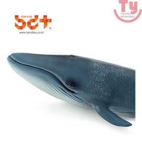 소프트 애니멀/흰수염고래/발달완구/고래 장난감/해양