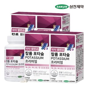 워터 밸런스 칼륨 포타슘 POTASSIUM 프리미엄 4병 (480정)