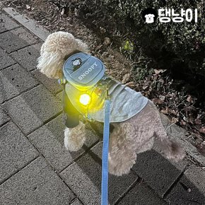 강아지 야간 산책 피너츠 블링커 C타입 충전식 LED 클립형 라이트