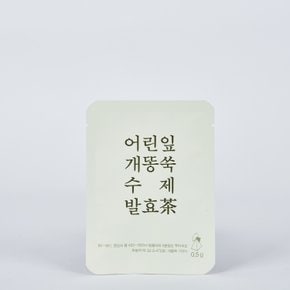 어린잎 개똥쑥 수제발효차 0.5g x 10티백