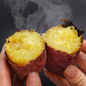 [오늘신선] 해남 산지직송 호풍미 호박고구마 비세척 한입 3kg