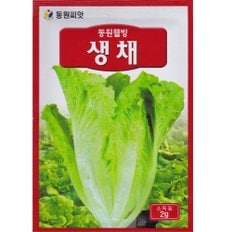 영농사 생채씨앗 2g 상추씨앗