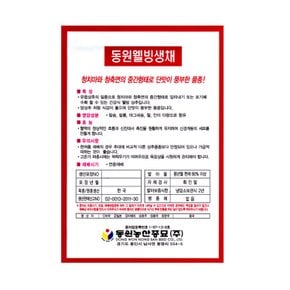생채씨앗 2g 상추씨앗