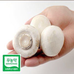  친환경 무농약 부여 양송이 버섯 가정용 500g 못난이 조리용 친환경채소