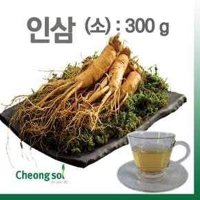 인삼 (소) 300g