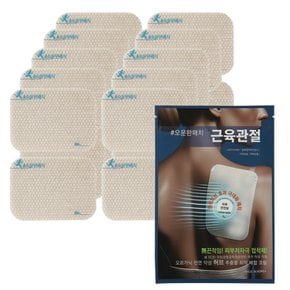 생활 운동 전문 패치 파스 20매외 1종 국내제조 바이오 쿨 히트 오운완