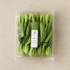 청경채 (550g/팩)