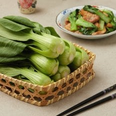 청경채 (550g/팩)