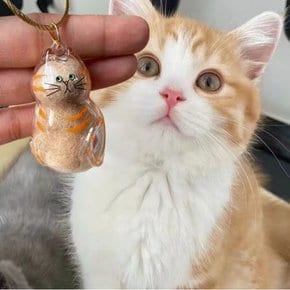 고양이 털보관 키링 고양이털 수염 보관함 반려동물 털키링 집사 선물 추모 펫로스 BB0359