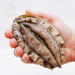 진도직송 명품 활 전복 1kg(30-40미,실속3,손질칼)