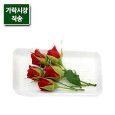 팸쿡 가락시장직송 미니장미(5송이/장식용)