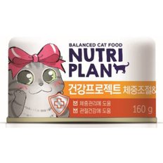 동원 뉴트리플랜 건강프로젝트 체중조절&관절 160g