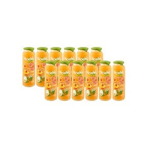 노아 애플 넥타린 코코넛 파인애플앤 라임주스 260ml x 12병