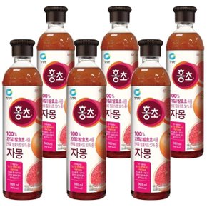 대상 청정원 홍초 자몽 900ml x 6개입 (WBD275F)