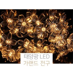 LED 50구 화사한 분위기 꽃모양 전구 7m 트리소품