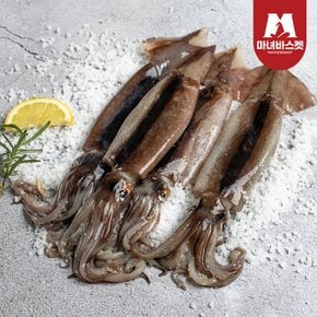 녹진한 손질 통찜용 오징어 자연산 500g(4-7미)