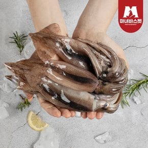 녹진한 손질 통찜용 오징어 자연산 500g(4-7미)