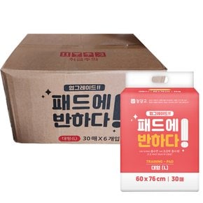패드에반하다 30매 대형 60x76cm 6팩 강아지패드 애견패드