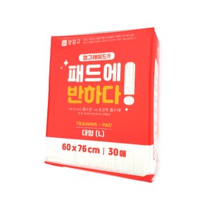 패드에반하다 30매 대형 60x76cm 6팩 강아지패드 애견패드