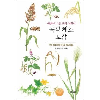 제이북스 세밀화로 그린 보리 어린이 곡식 채소 도감 (보급판) - 우리 땅에 자라는 곡식과 채소 50종