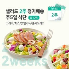 샐러드 2주 정기배송 주5일 (크래미1+치즈1+깻잎1+훈제오리2)