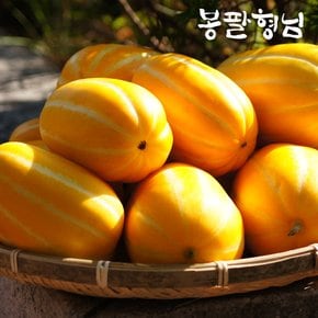 성주 꿀 참외 꼬마 (20-24과) 4.5kg 실속형