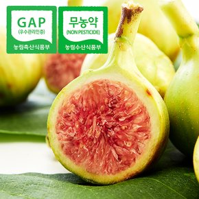 [무농약]GAP인증 당일수확 전남 고당도 청 무화과 4kg(56-72과)