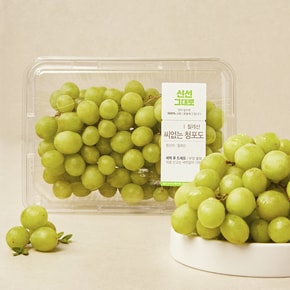[칠레산] 씨없는 청포도 (700g)