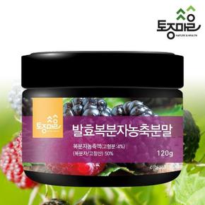 발효복분자농축분말 120g (S50805051)