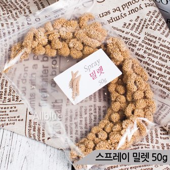 올블루 맛있는 천연알곡 밀렛 50g 앵무새 햄스터 소동물간식