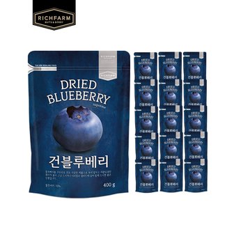 리치팜너트 건블루베리 400g x16봉 건과일 블루베리