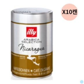 일리 원두 커피 니카라과 대량 대용량 선물 250g X10