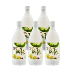 공주 오늘밤엔 메론주 900ml*5병입