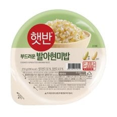 CJ제일제당 햇반 매일찰잡곡밥 210g 12개 잡곡 흑미 찰보리 현미햇반jh