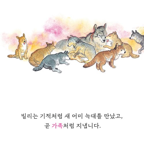 이미지4