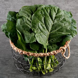 지투지샵 유기농 케일 녹즙용 1kg