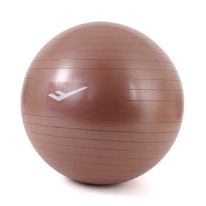프로-스펙스 짐볼 75cm 브존즈 안티버스트 임산부 필라테스 요가 스트레칭 홈트 코어 운동