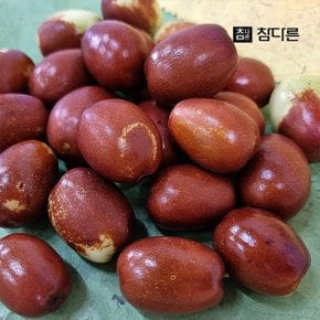 참다른 햇 생대추 손별초 500g (28mm내외)