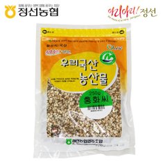 5일장 약선재료 홍화씨250g