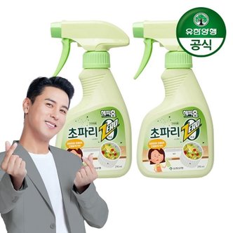 유한양행 해피홈 초파리제로 스프레이 290ml  2개