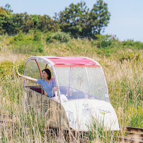 [제주] 제주 레일바이크