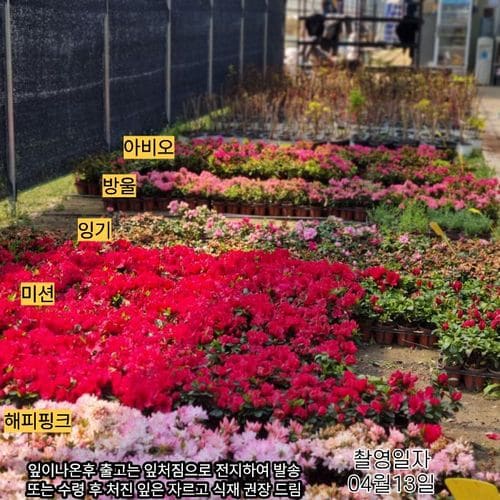 추가이미지5