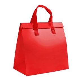 여름캠핑 부직포 냉온 쇼핑백가방 레드 소 22x26x14cm